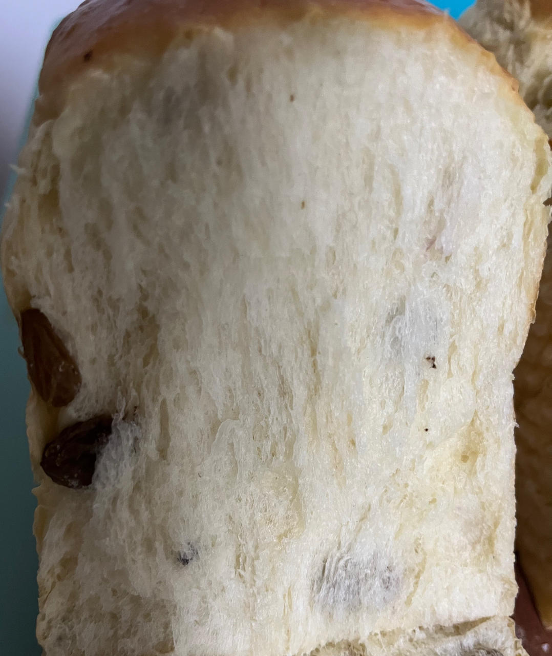 和云朵一样柔软的北海道牛奶吐司