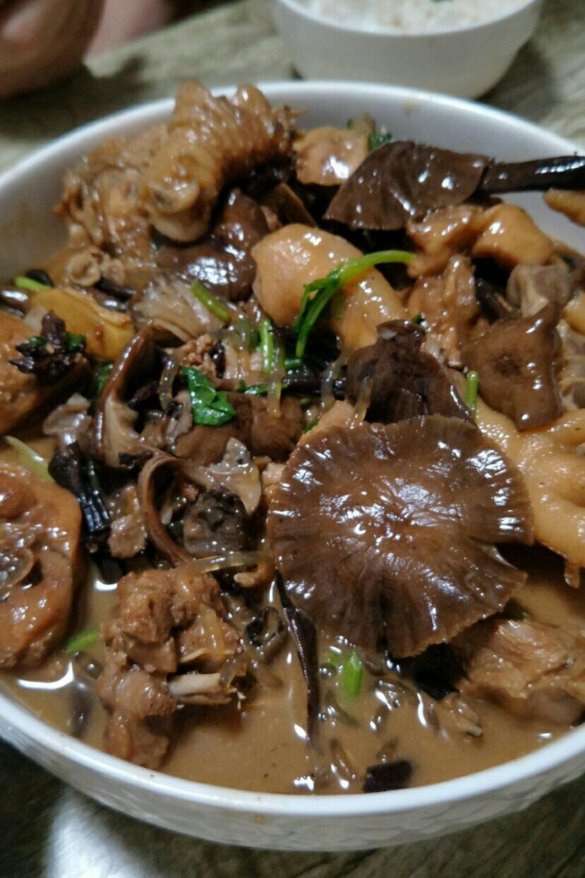 熙宝我爱你做的小鸡炖蘑菇