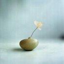 手机用户2769_5kfs