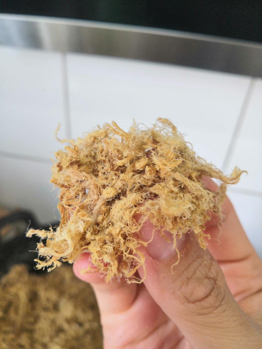 自制原味猪肉松    这么做轻松搞定    厨房小白一样能成功   附细节视频