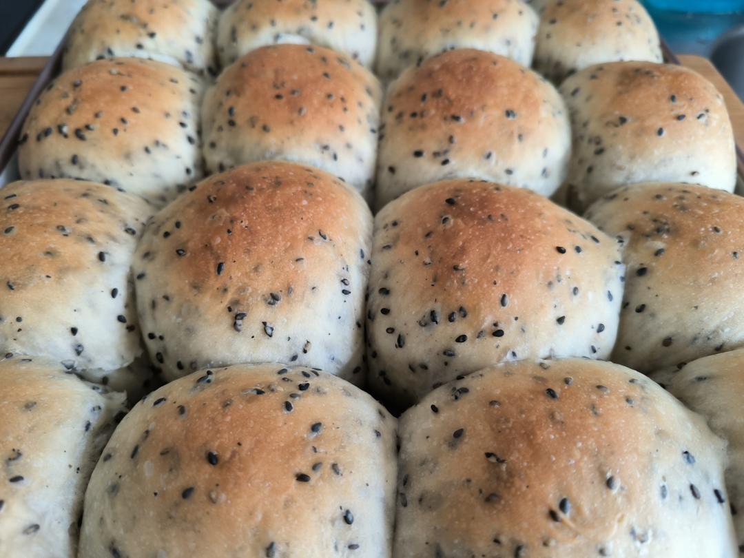 咸香柔软的黑芝麻小餐包｜新手友好