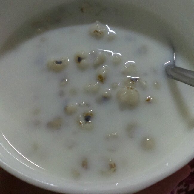 牛奶薏米粥