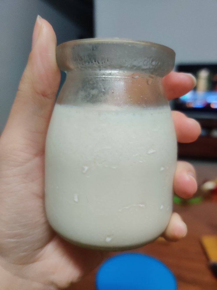 自制浓稠老酸奶最简做法