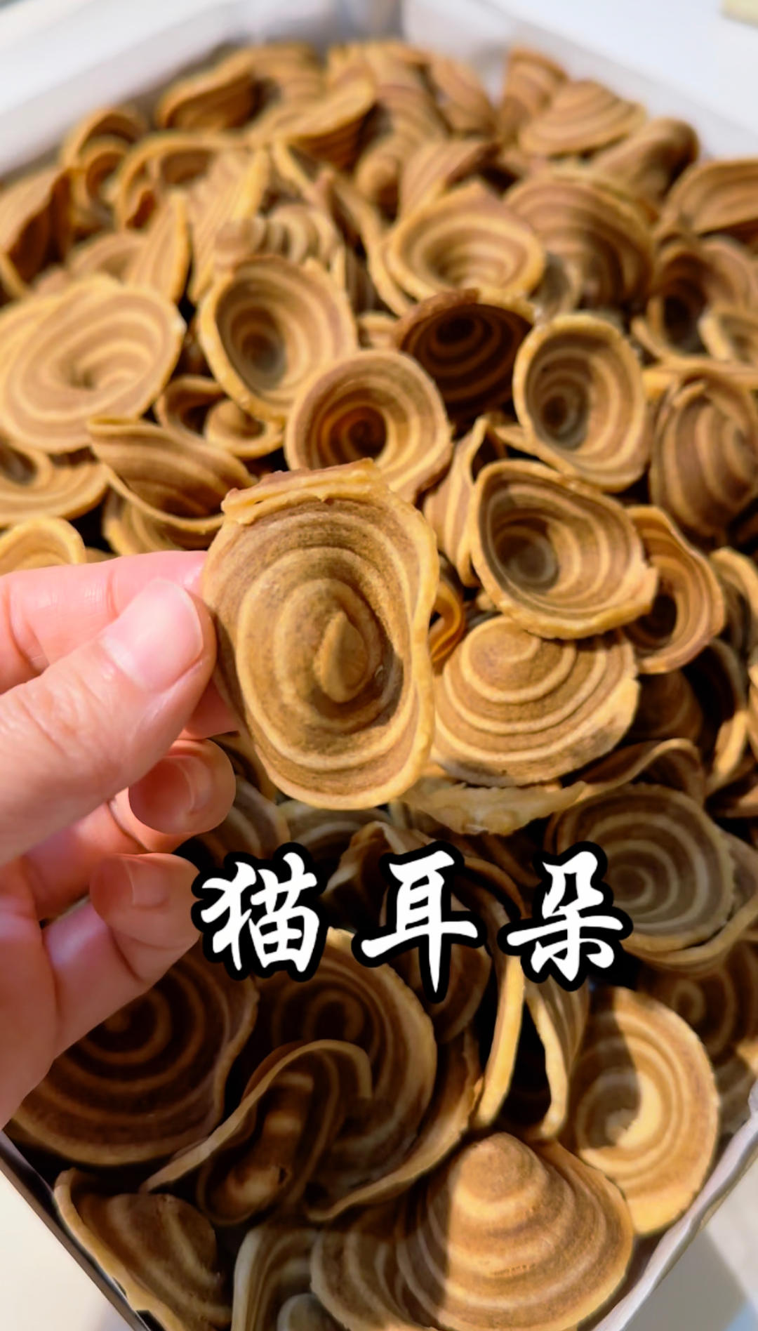 80后儿时记忆☞猫耳朵