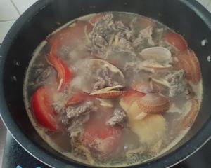 花甲牛肉枸杞叶番茄汤的做法 步骤4