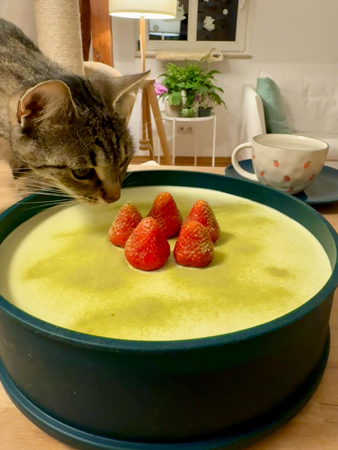 抹茶芝士蛋糕（减糖版）