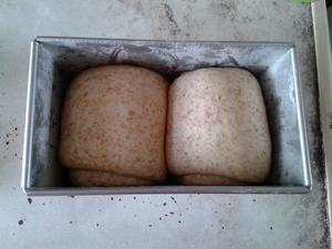 奶油全麥吐司·Whole Wheat Butter Bread Loaf的做法 步骤10