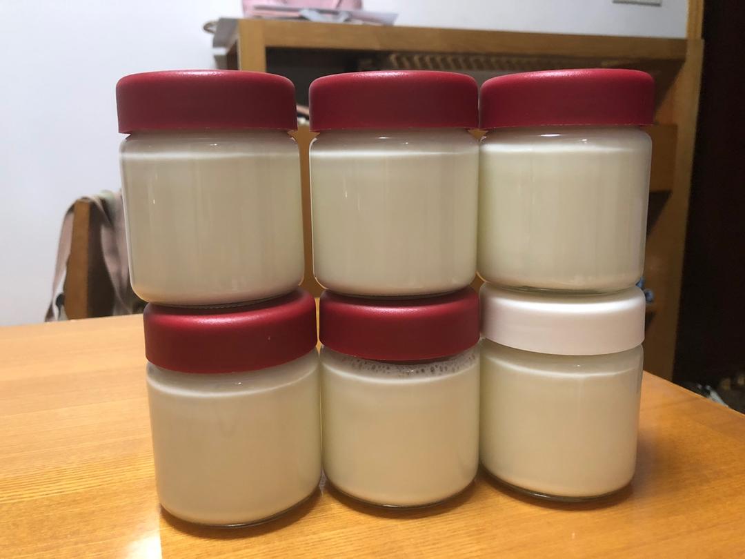 面包机版自制酸奶