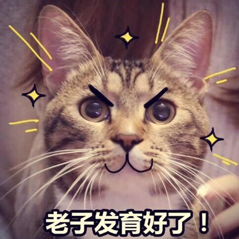 豆包包娘
