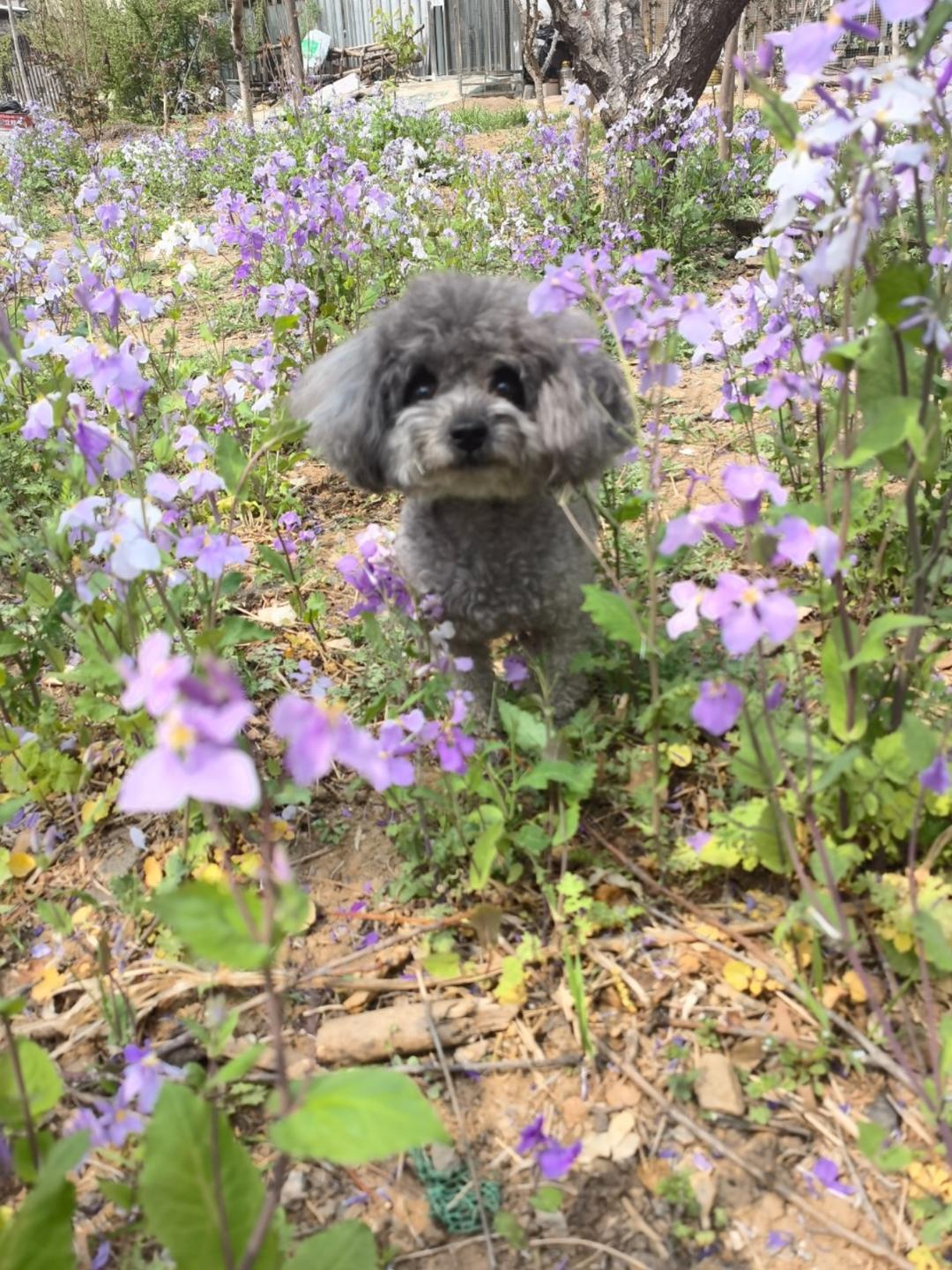 下厨房用户_3fj8b