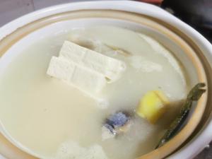 荷包蛋鲫鱼豆腐汤的做法 步骤7
