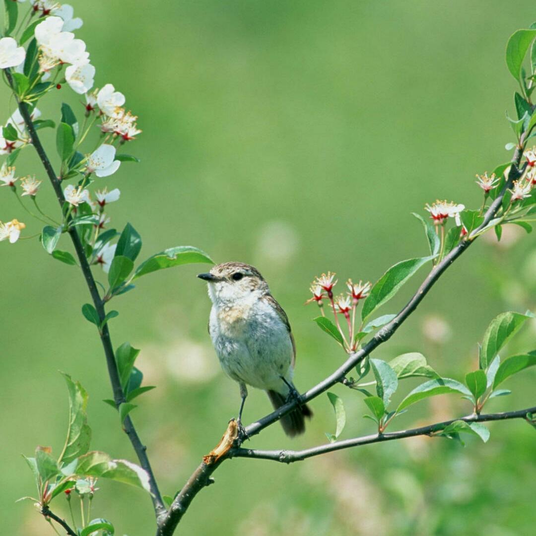 手机用户7528_av9c