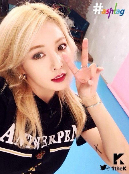 原来洋葱是这么切的