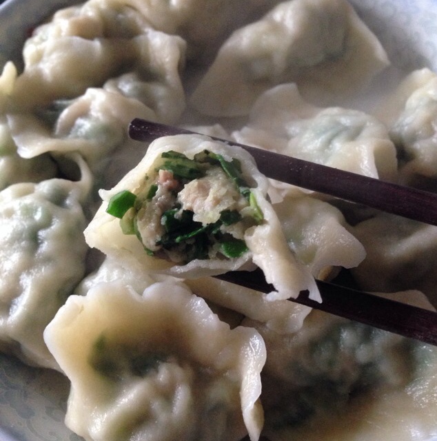 想念乖鼻做的韭菜馅饺子