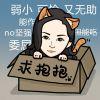 快乐小肥鱼