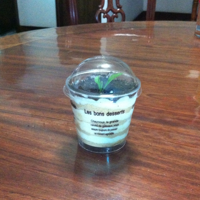 木糠杯——适合小白做的甜品