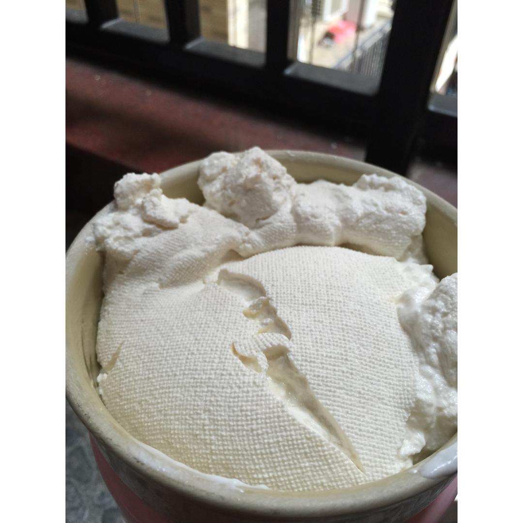 自制希腊酸奶