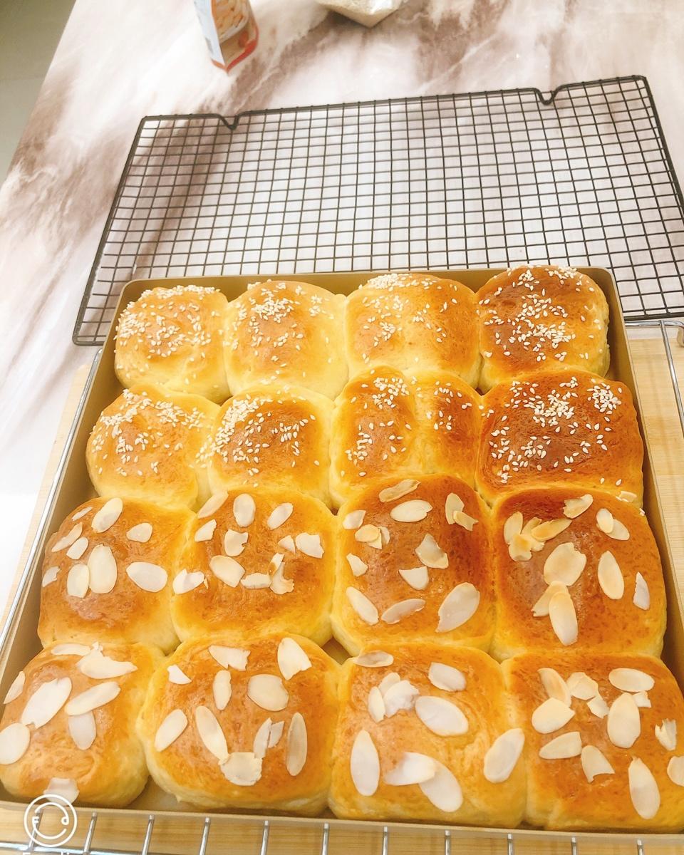 鲜奶油小餐包（一次发酵）