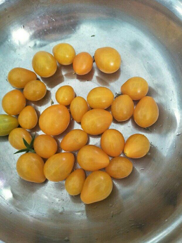 古早味蛋糕（水浴法）