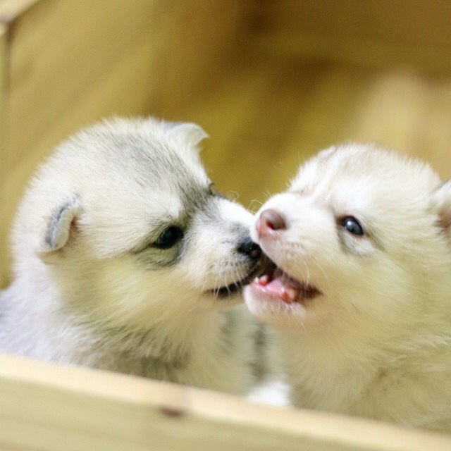 手机用户5825_8zka