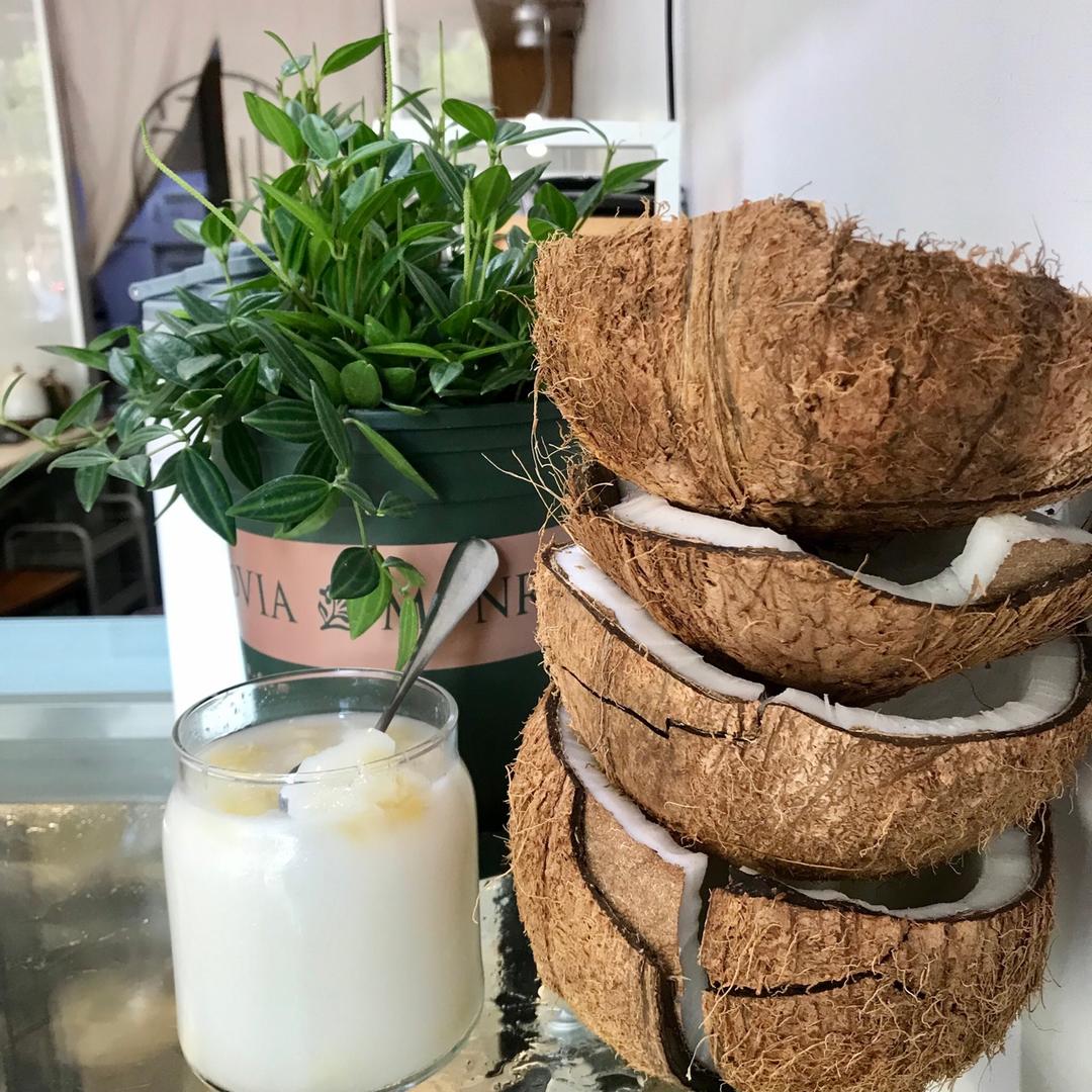 QQ弹弹椰子冻「厨娘物语」