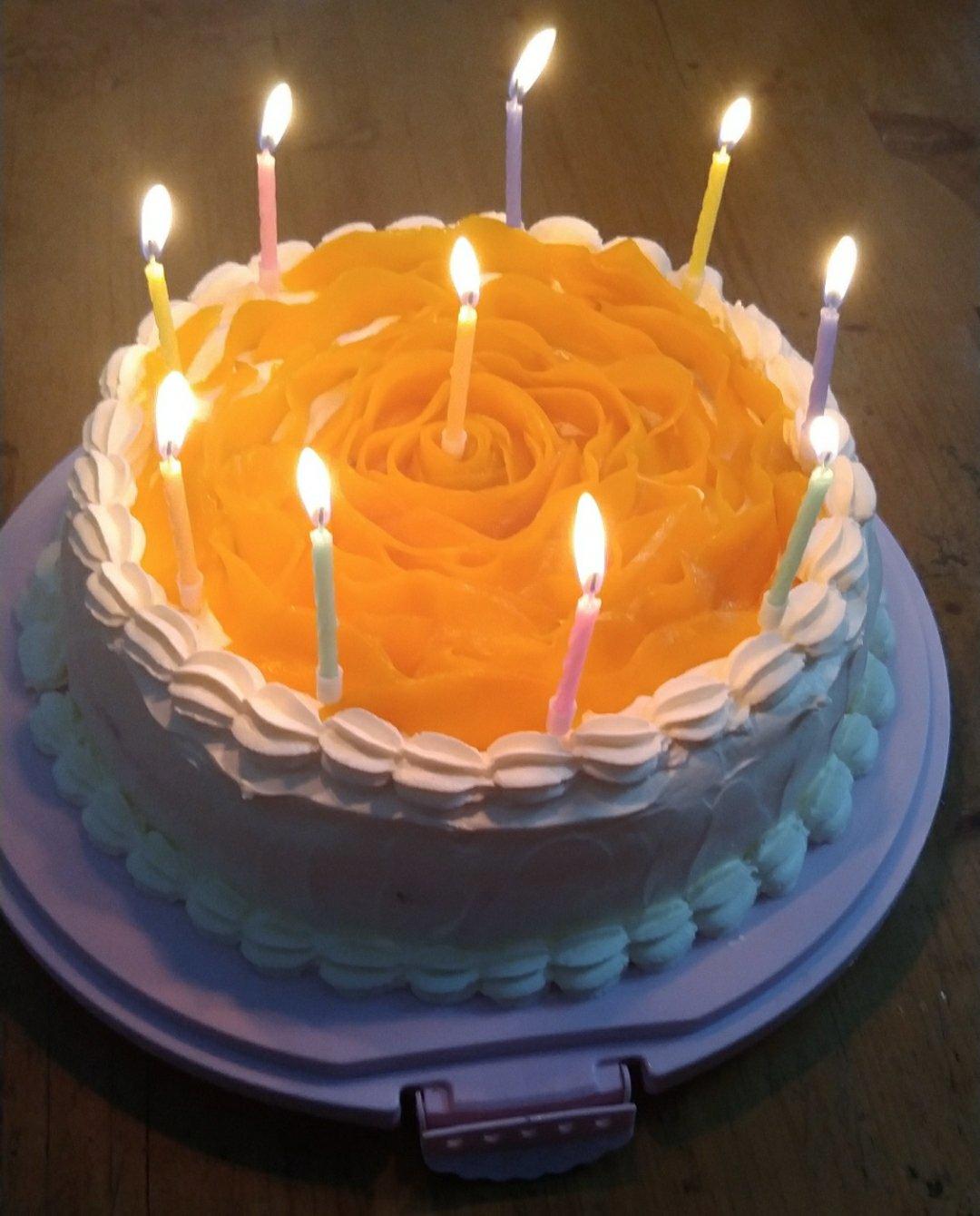 简易蛋糕(胚），拯救屡败星人（8寸）