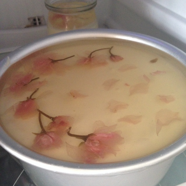 樱花乳酪慕斯蛋糕