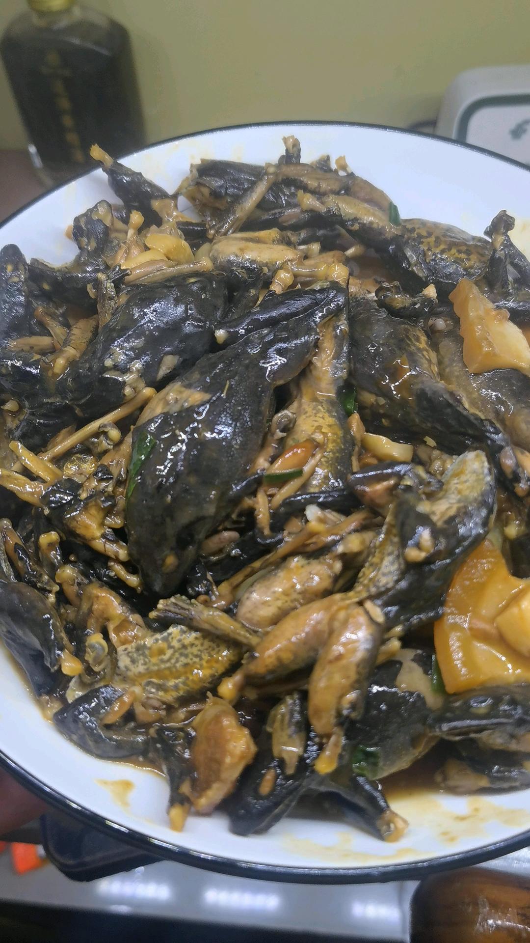 东北大林蛙（雪蛤）