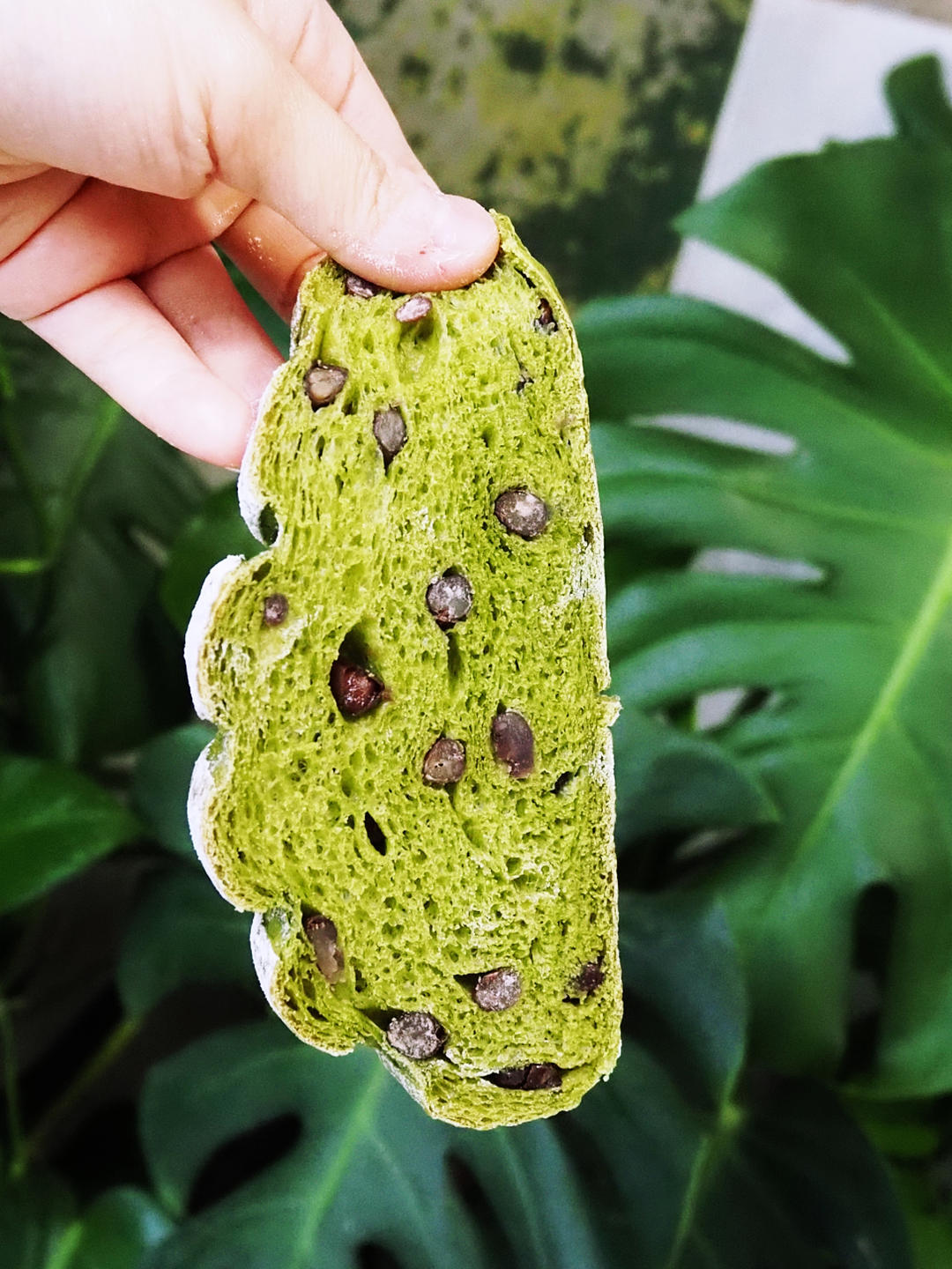 抹茶红豆牛奶哈斯面包