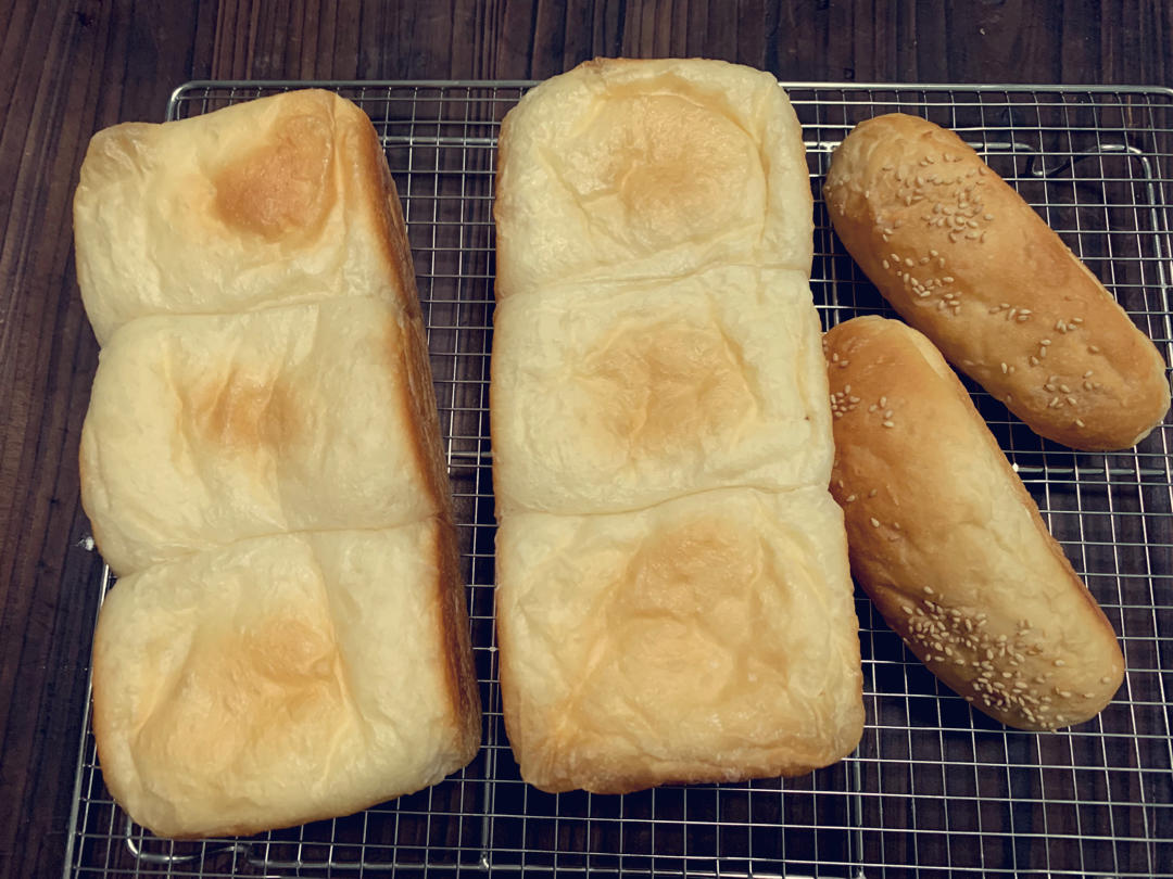 升级对面包的认知！吉沼裕之——烫种生吐司