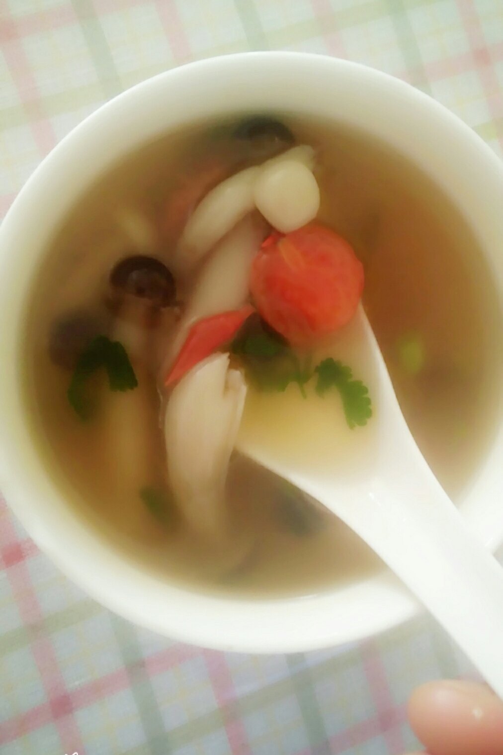 冬日暖汤——菌菇汤