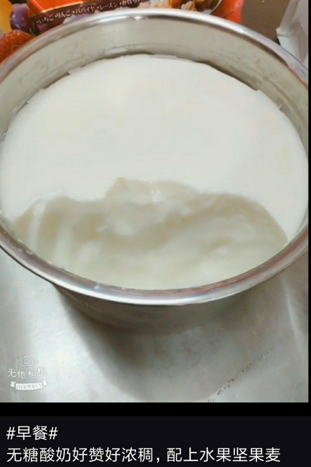 自制无糖酸奶