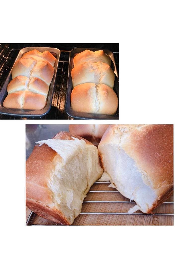 🌟只需一发的软妹子🌟奶香吐司🍞
