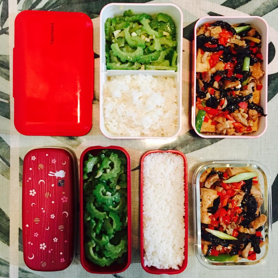 每日便当🍱（持续更新）