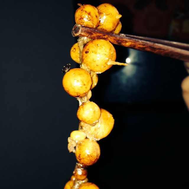 骄虎