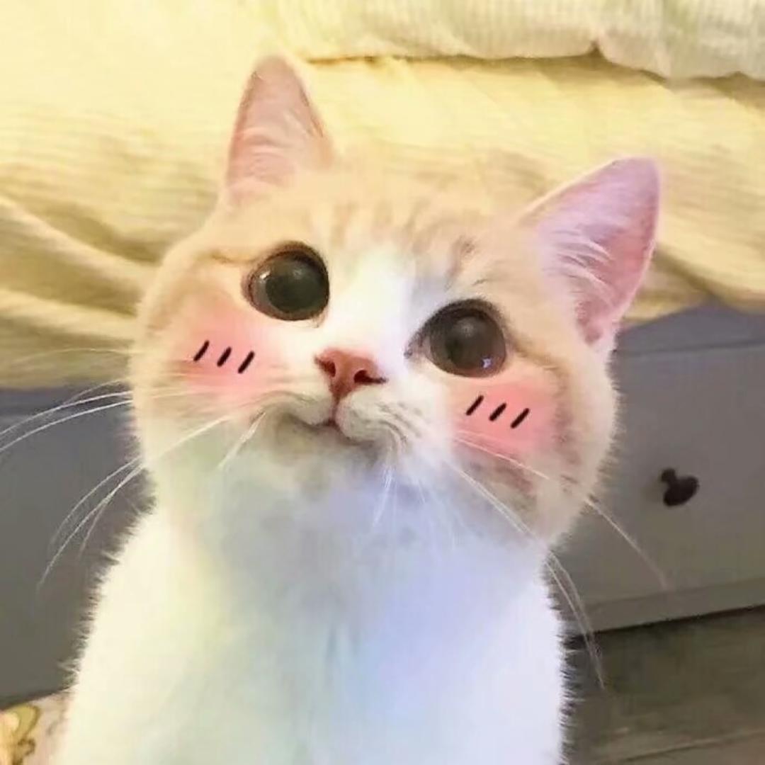 雪莉斯内普