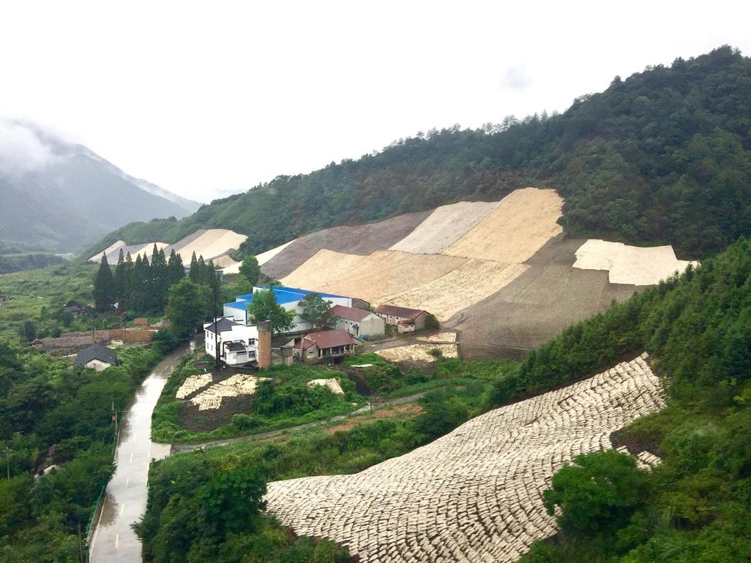 一个话唠包教包会的香浓红烩牛腩