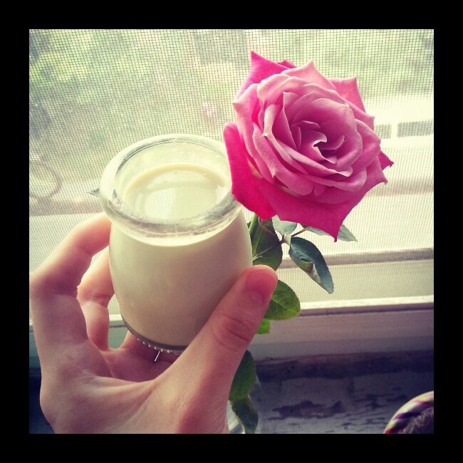 快手抹茶牛奶布丁