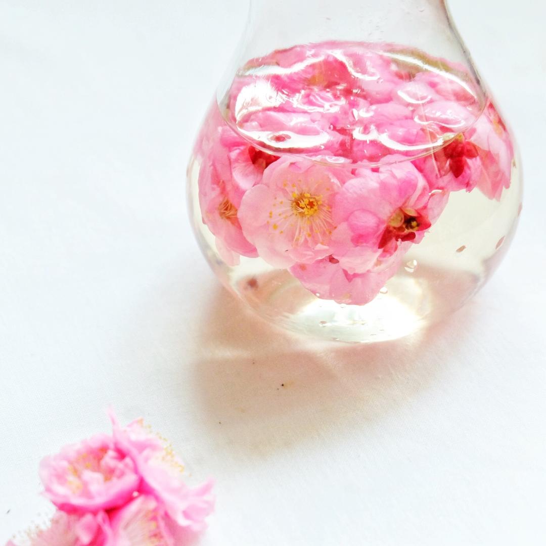 自制桃花酒