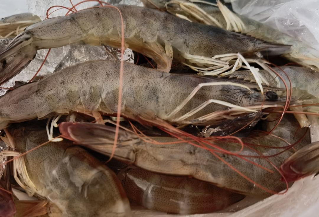 烤虾干（烤箱版）