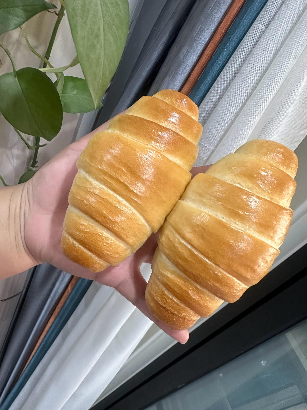 咸香黑芝麻盐面包