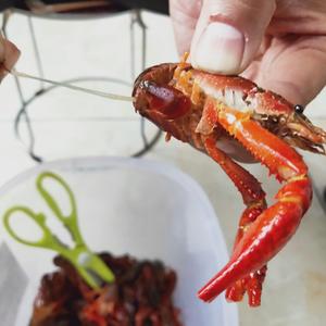 小龙虾🦞清洗的做法 步骤7