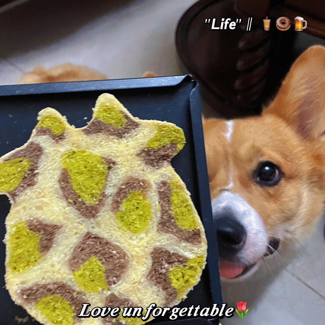 牛牛吐司🐮/豹纹吐司🐆/可爱动物造型