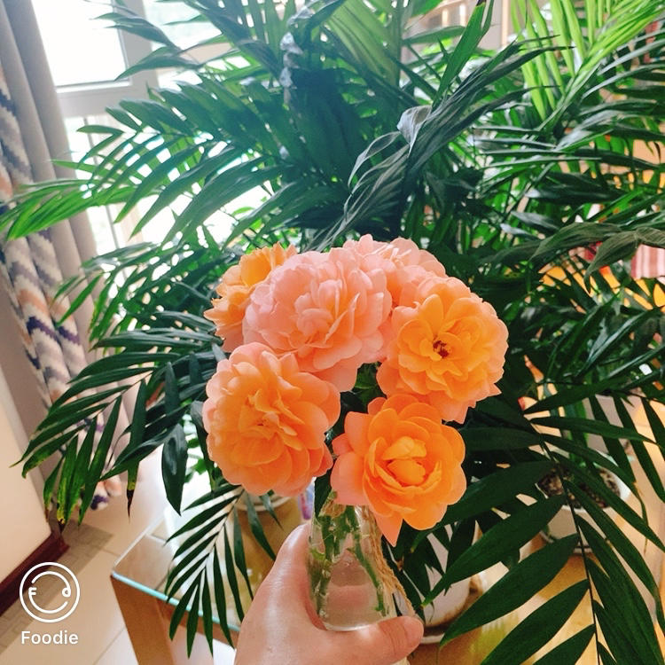 一花一世界一叶一追寻