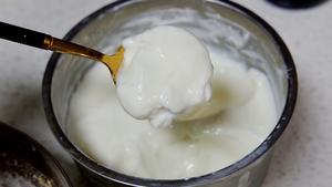 酸奶100%全麦无糖油吐司（波兰种），更柔软·健身首选的做法 步骤3