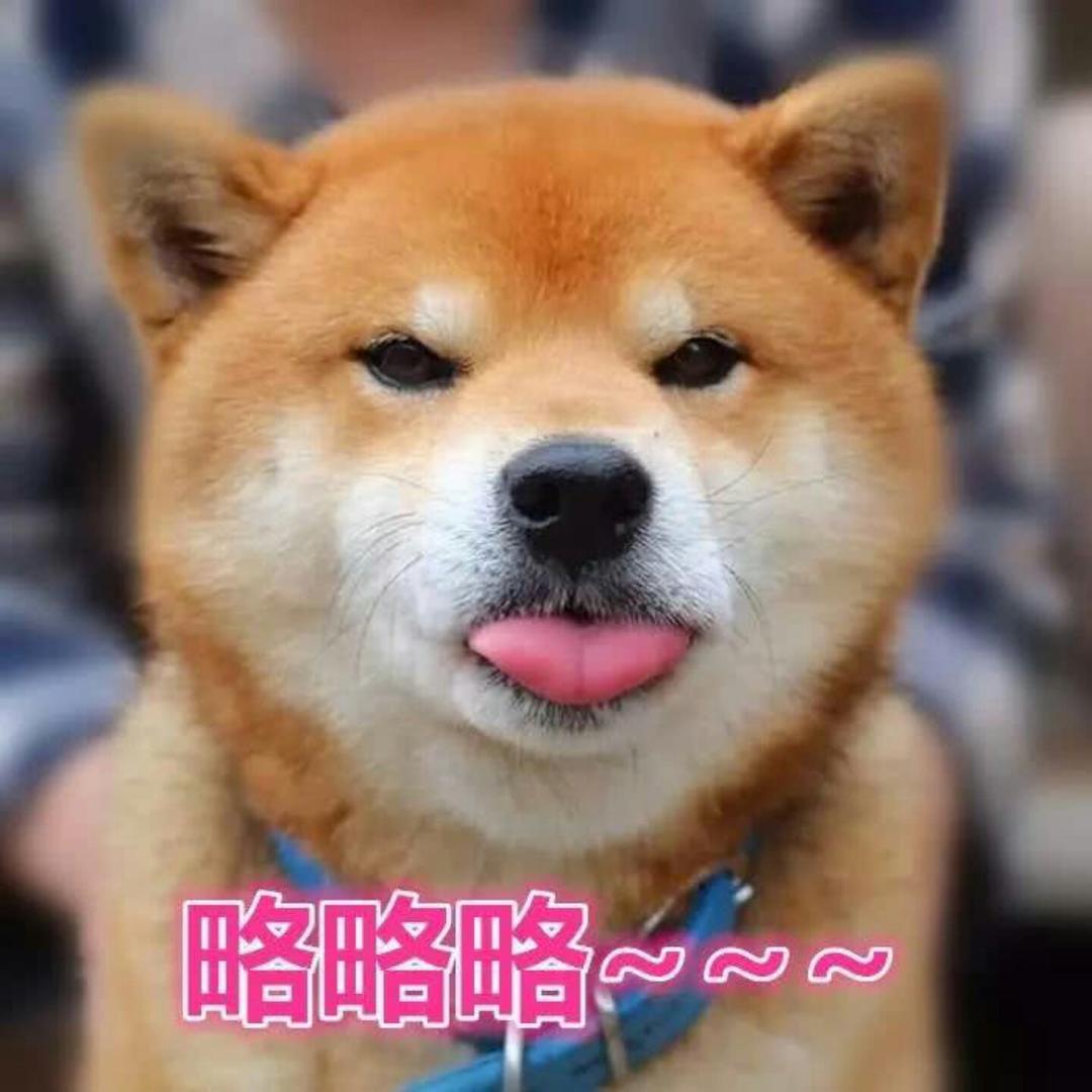 赵如雪