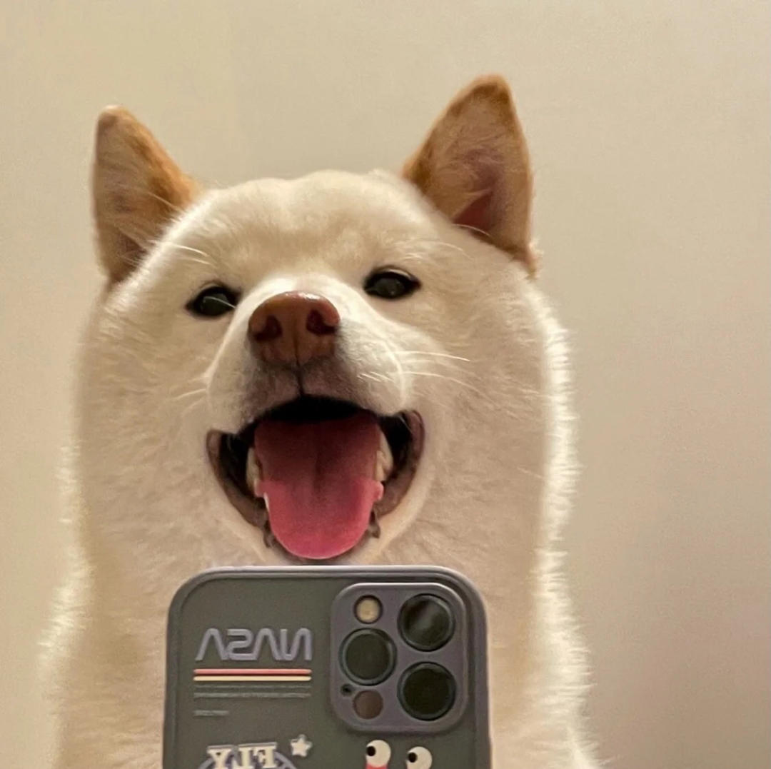 巴斯克芝士蛋糕，100%流心的配方