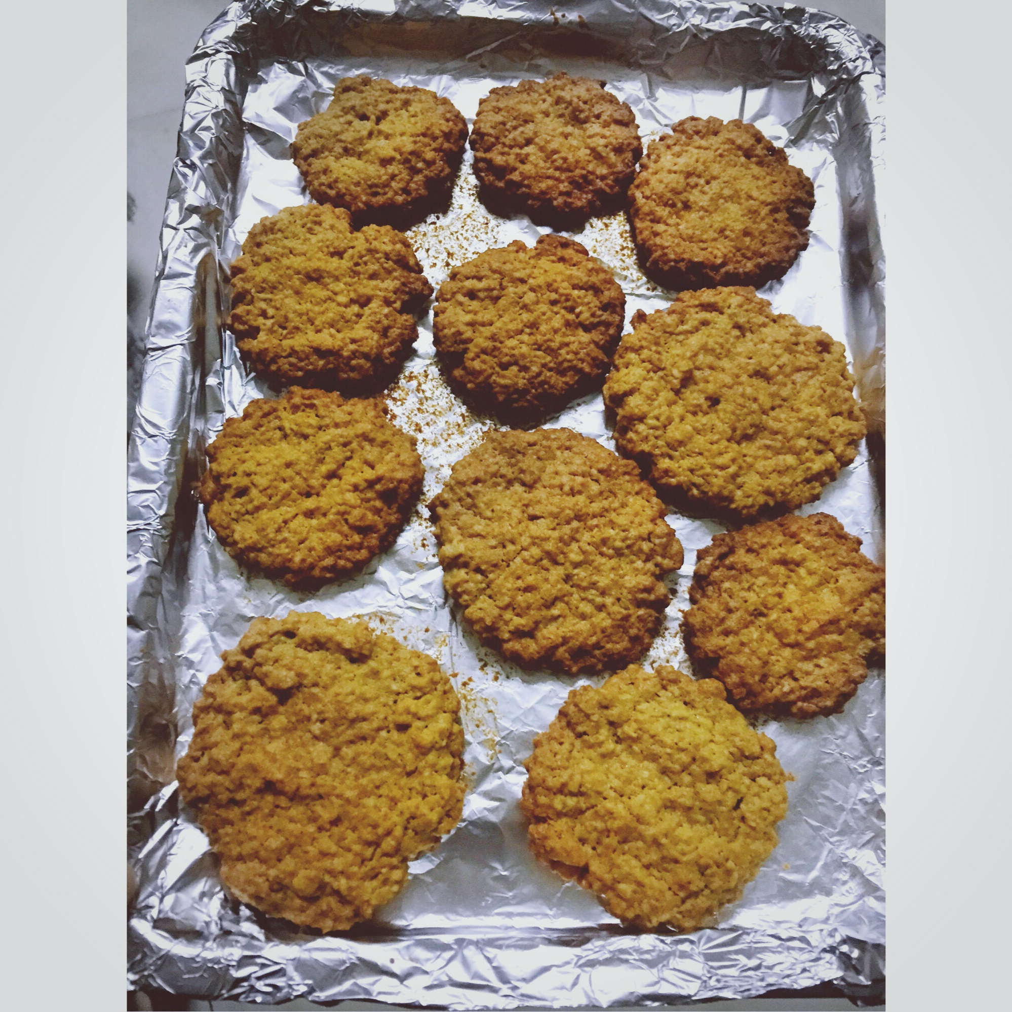 燕麦饼干