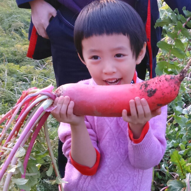 清清河边草_u0ol