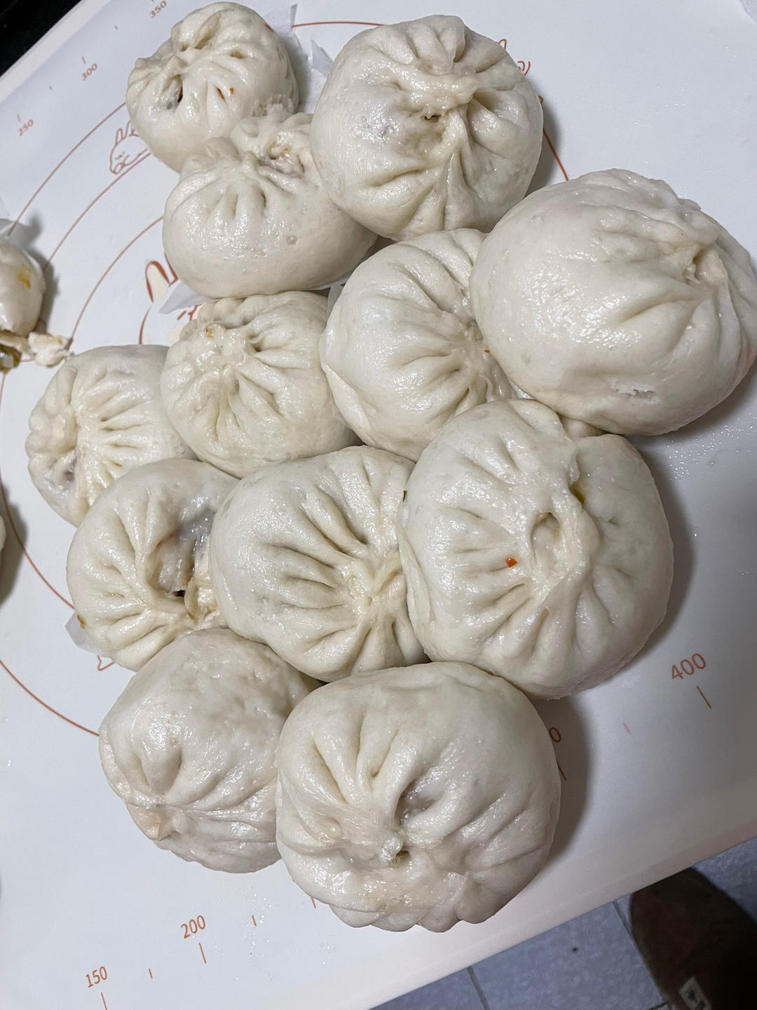 萝卜豆腐肉包子